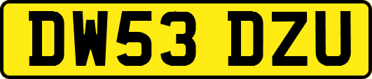 DW53DZU