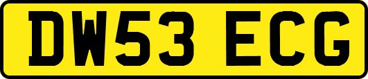 DW53ECG