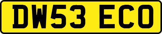 DW53ECO