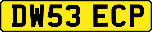 DW53ECP