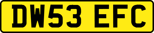 DW53EFC