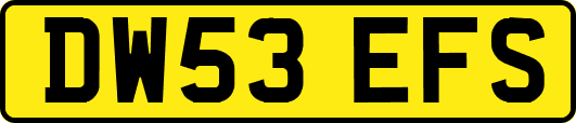 DW53EFS