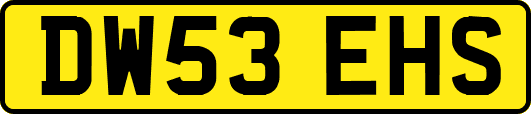 DW53EHS