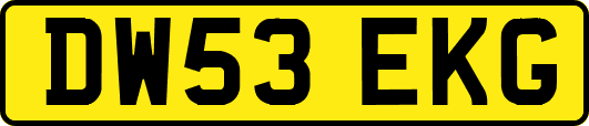 DW53EKG