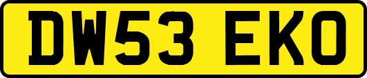 DW53EKO