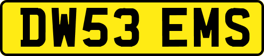 DW53EMS