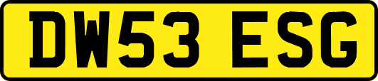 DW53ESG