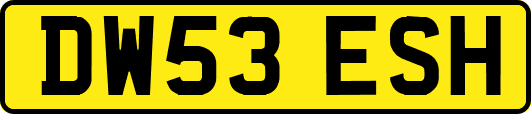 DW53ESH