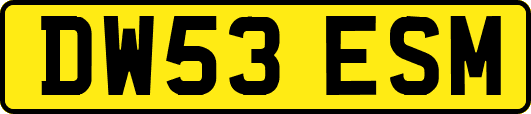 DW53ESM