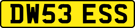 DW53ESS
