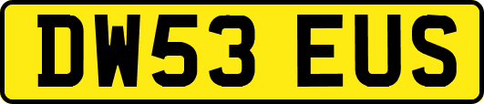 DW53EUS