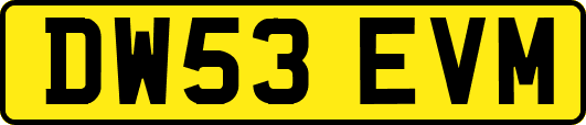 DW53EVM