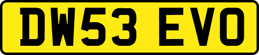 DW53EVO