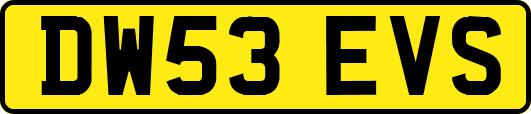 DW53EVS