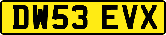 DW53EVX