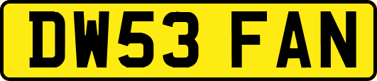 DW53FAN