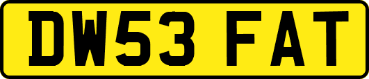 DW53FAT