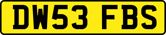 DW53FBS