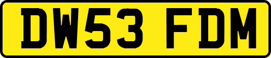 DW53FDM
