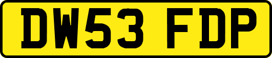 DW53FDP