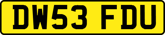 DW53FDU