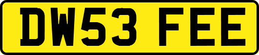 DW53FEE
