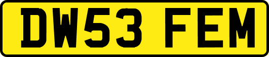 DW53FEM
