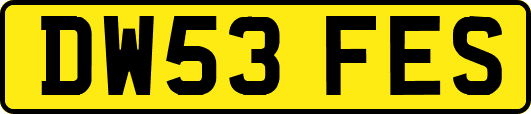 DW53FES