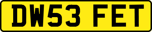 DW53FET