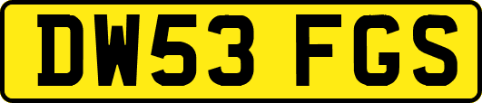 DW53FGS