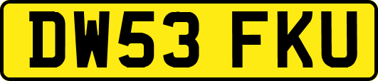 DW53FKU