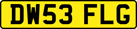 DW53FLG