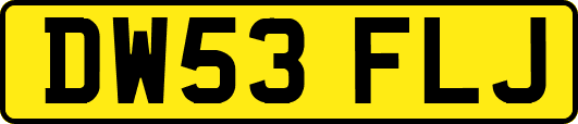 DW53FLJ