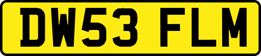 DW53FLM