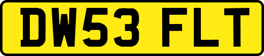 DW53FLT