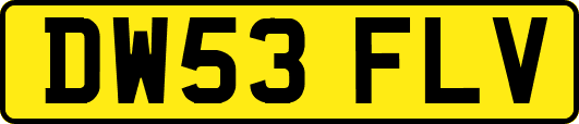 DW53FLV