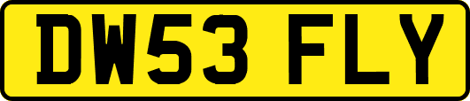 DW53FLY