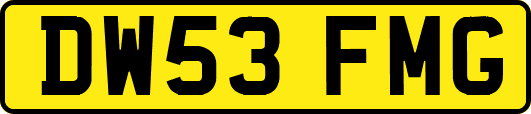 DW53FMG