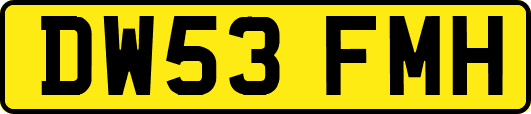 DW53FMH