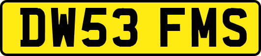 DW53FMS