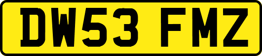 DW53FMZ