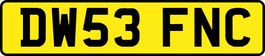 DW53FNC