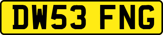 DW53FNG