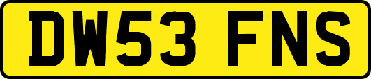 DW53FNS