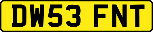 DW53FNT