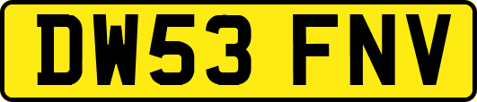 DW53FNV