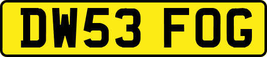 DW53FOG