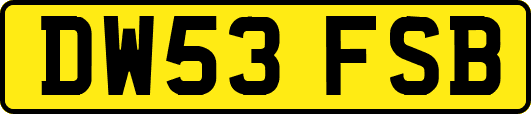 DW53FSB