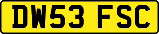 DW53FSC