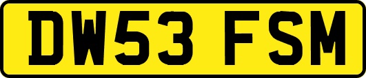 DW53FSM